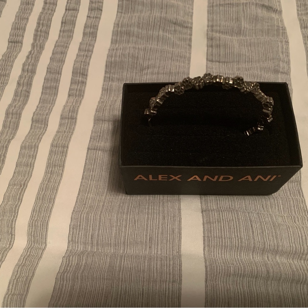 Alex and Ani Bracelet